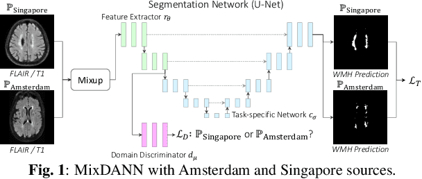 Figure 1 for Robust White Matter Hyperintensity Segmentation on Unseen Domain
