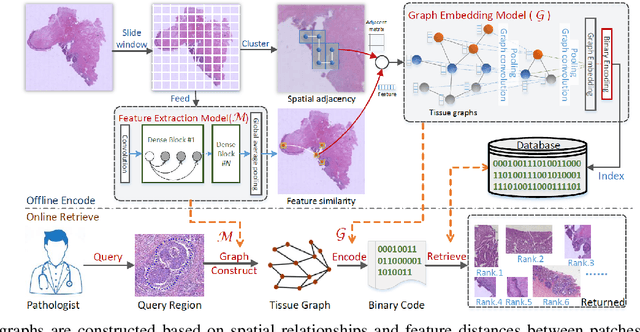 Figure 2 for A Survey on Graph-Based Deep Learning for Computational Histopathology