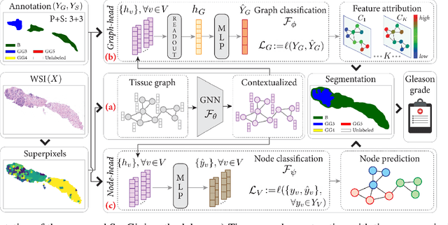Figure 3 for A Survey on Graph-Based Deep Learning for Computational Histopathology