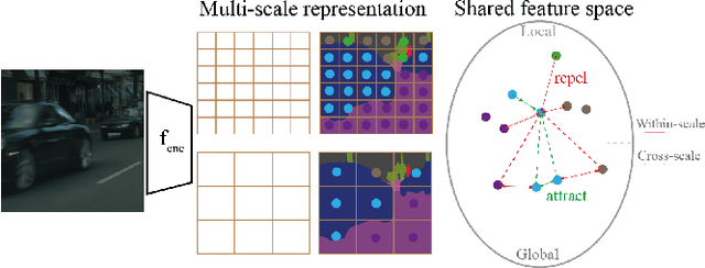 Figure 1 for Multi-scale and Cross-scale Contrastive Learning for Semantic Segmentation