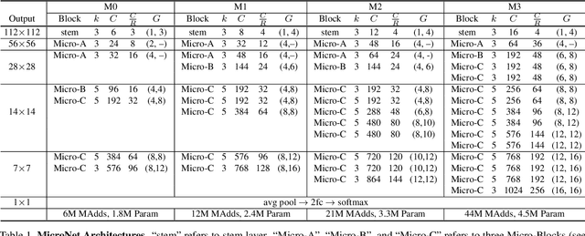 Figure 2 for MicroNet: Towards Image Recognition with Extremely Low FLOPs