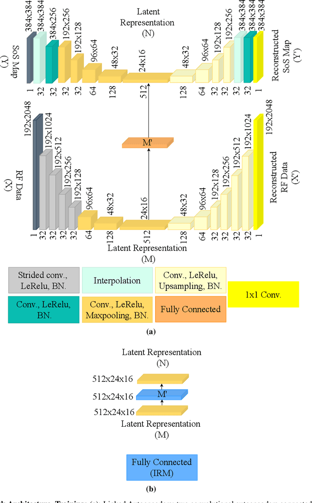 Figure 2 for AutoSpeed: A Linked Autoencoder Approach for Pulse-Echo Speed-of-Sound Imaging for Medical Ultrasound