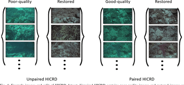Figure 4 for Underwater Image Restoration via Contrastive Learning and a Real-world Dataset