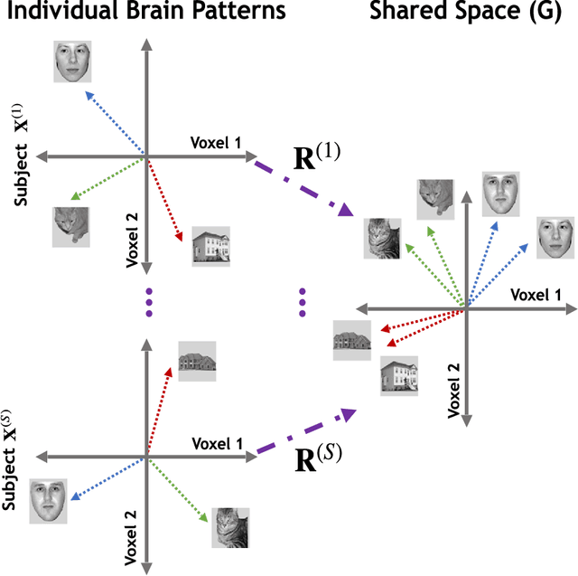 Figure 1 for Multi-Objective Cognitive Model: a supervised approach for multi-subject fMRI analysis