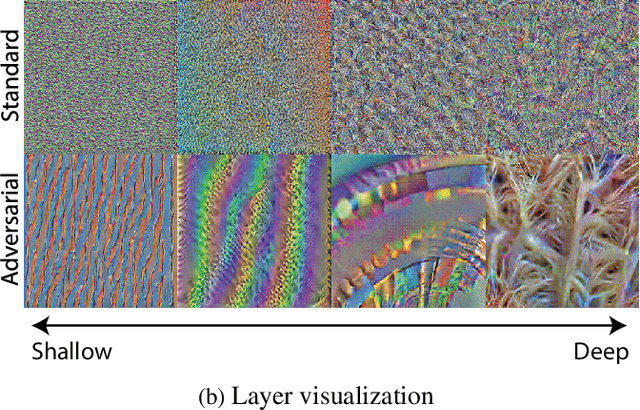 Figure 1 for What Do Adversarially Robust Models Look At?
