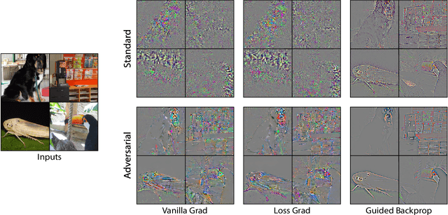 Figure 3 for What Do Adversarially Robust Models Look At?