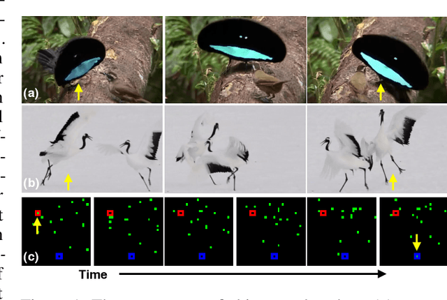 Figure 1 for Tracking Without Re-recognition in Humans and Machines