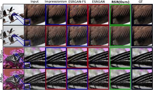 Figure 1 for Generalized Real-World Super-Resolution through Adversarial Robustness