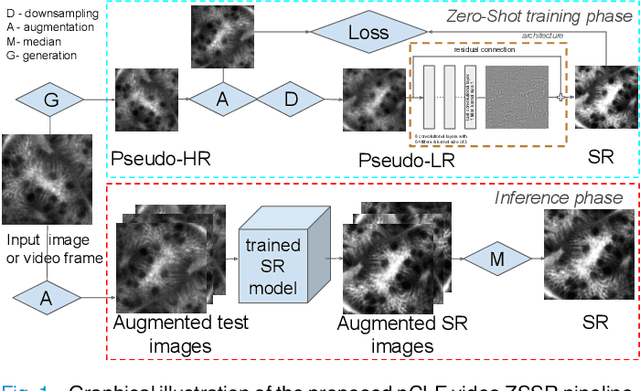 Figure 1 for Zero-shot super-resolution with a physically-motivated downsampling kernel for endomicroscopy