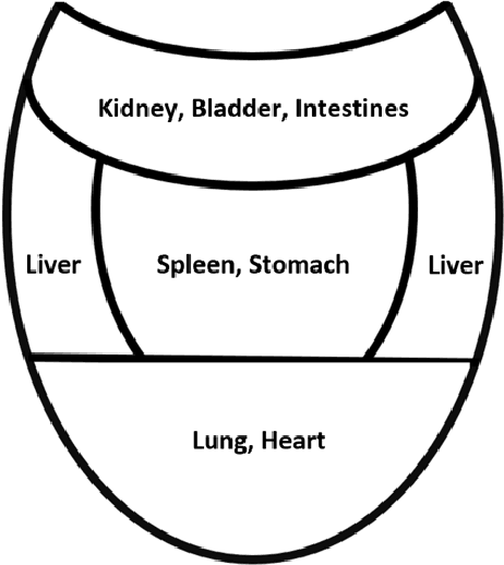 Figure 1 for Proposing method to Increase the detection accuracy of stomach cancer based on colour and lint features of tongue using CNN and SVM