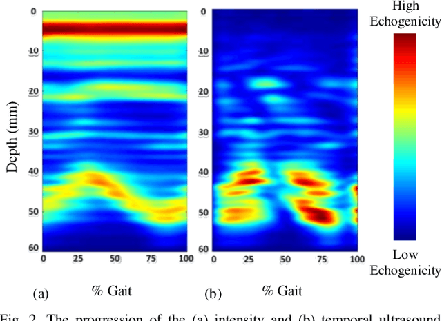 Figure 2 for Task-Invariant Learning of Continuous Joint Kinematics during Steady-State and Transient Ambulation Using Ultrasound Sensing