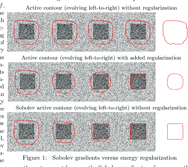 Figure 1 for Accelerated Optimization in the PDE Framework: Formulations for the Active Contour Case