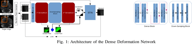 Figure 1 for Dense Deformation Network for High Resolution Tissue Cleared Image Registration