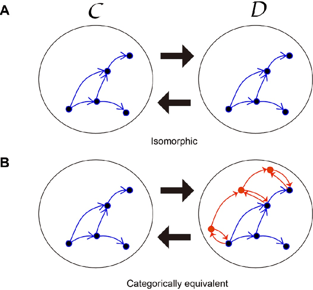 Figure 2 for Category theory as a foundation for soft robotics