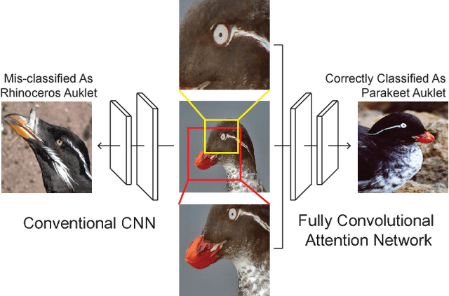 Figure 1 for Fully Convolutional Attention Networks for Fine-Grained Recognition