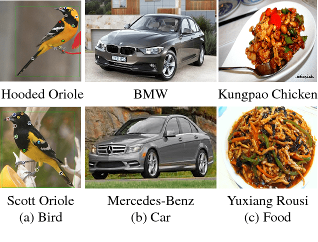Figure 3 for Fully Convolutional Attention Networks for Fine-Grained Recognition