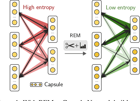 Figure 1 for REM: Routing Entropy Minimization for Capsule Networks
