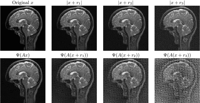 Figure 1 for The troublesome kernel: why deep learning for inverse problems is typically unstable