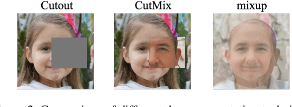 Figure 3 for Achieving Robustness in the Wild via Adversarial Mixing with Disentangled Representations
