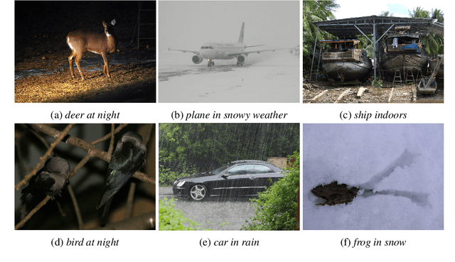 Figure 1 for FOCUS: Familiar Objects in Common and Uncommon Settings