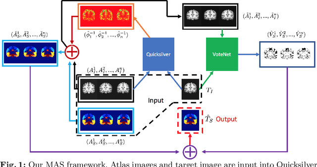 Figure 1 for VoteNet: A Deep Learning Label Fusion Method for Multi-Atlas Segmentation