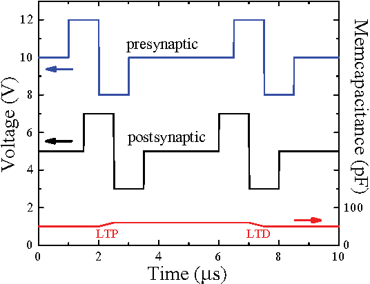 Figure 3 for Memcapacitive neural networks