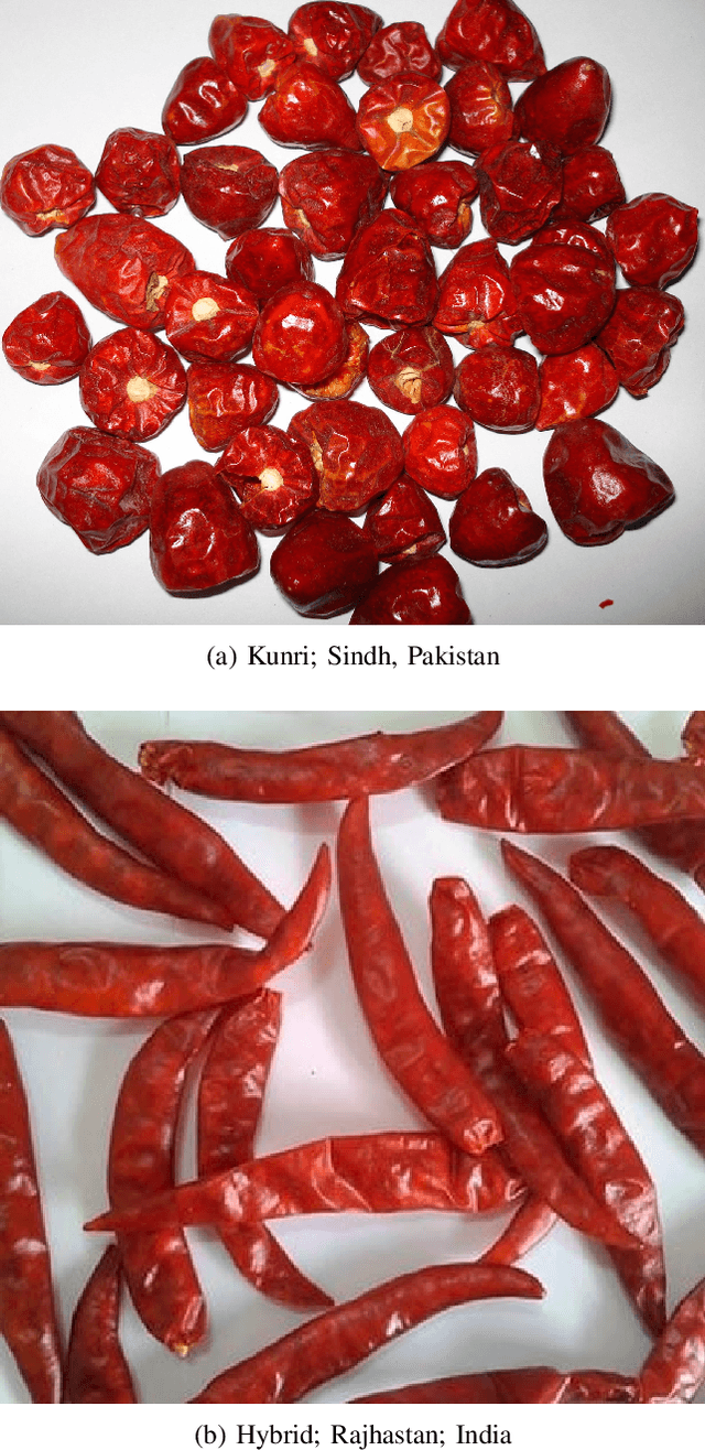 Figure 1 for Unsupervised adulterated red-chili pepper content transformation for hyperspectral classification