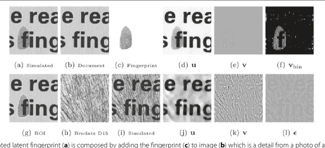 Figure 1 for Directional Global Three-part Image Decomposition