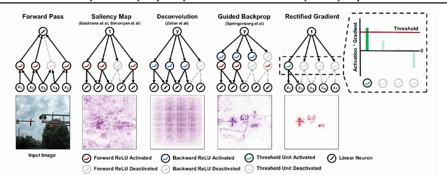 Figure 1 for Why are Saliency Maps Noisy? Cause of and Solution to Noisy Saliency Maps