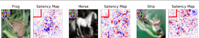 Figure 4 for Why are Saliency Maps Noisy? Cause of and Solution to Noisy Saliency Maps