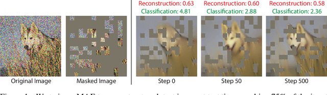 Figure 1 for Test-Time Training with Masked Autoencoders