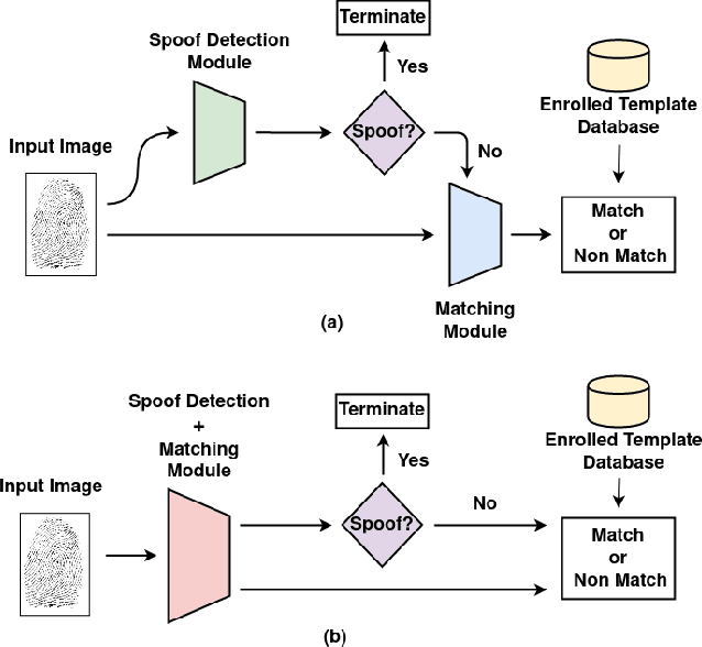 Figure 1 for A Unified Model for Fingerprint Authentication and Presentation Attack Detection