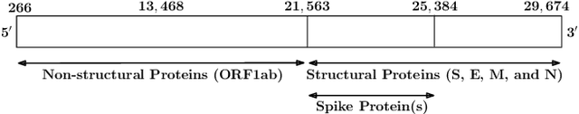 Figure 1 for A k-mer Based Approach for SARS-CoV-2 Variant Identification