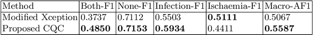 Figure 4 for Hybrid Classical-Quantum method for Diabetic Foot Ulcer Classification