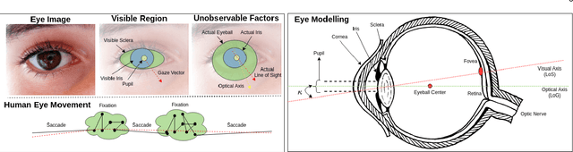 Figure 3 for Automatic Gaze Analysis: A Survey of DeepLearning based Approaches