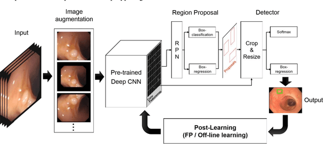 Figure 1 for Automatic Colon Polyp Detection using Region based Deep CNN and Post Learning Approaches