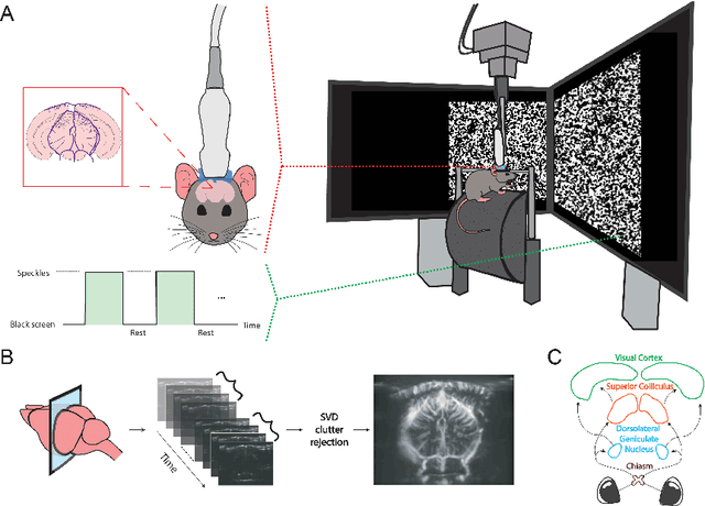 Figure 2 for Deconvolution of the Functional Ultrasound Response in the Mouse Visual Pathway Using Block-Term Decomposition