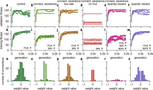 Figure 2 for Sparsity through evolutionary pruning prevents neuronal networks from overfitting