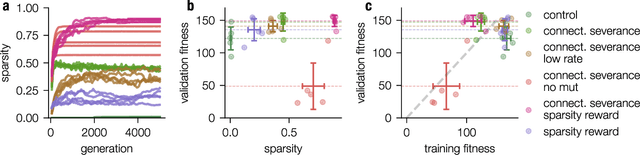 Figure 3 for Sparsity through evolutionary pruning prevents neuronal networks from overfitting