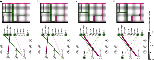 Figure 4 for Sparsity through evolutionary pruning prevents neuronal networks from overfitting
