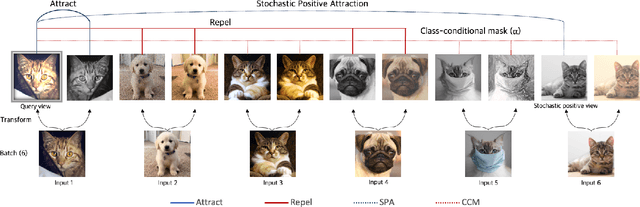 Figure 3 for Masked Contrastive Learning for Anomaly Detection