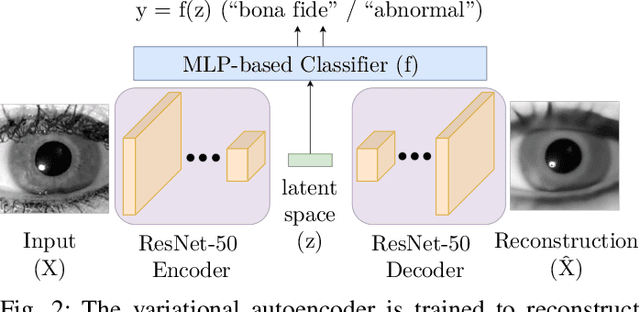 Figure 2 for State Of The Art In Open-Set Iris Presentation Attack Detection
