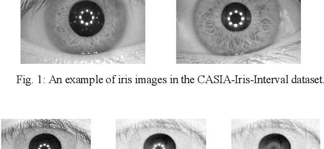 Figure 2 for An approach to human iris recognition using quantitative analysis of image features and machine learning