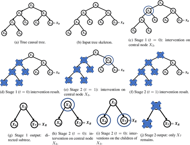 Figure 1 for Causal Bandits with Unknown Graph Structure