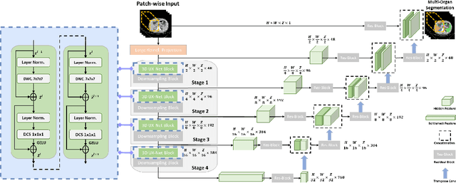 Figure 3 for 3D UX-Net: A Large Kernel Volumetric ConvNet Modernizing Hierarchical Transformer for Medical Image Segmentation