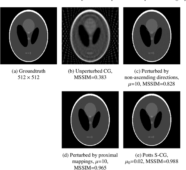 Figure 4 for Multi-Channel Potts-Based Reconstruction for Multi-Spectral Computed Tomography