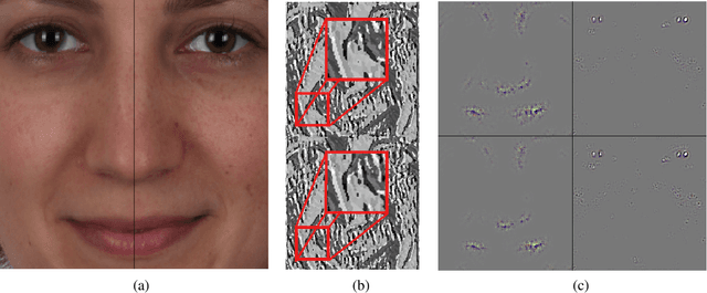 Figure 1 for Style Your Face Morph and Improve Your Face Morphing Attack Detector