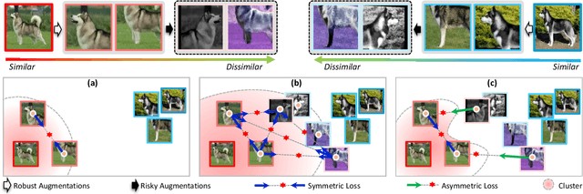 Figure 3 for Directional Self-supervised Learning for Risky Image Augmentations