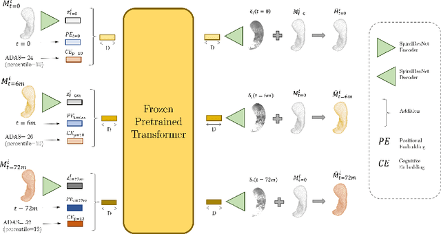 Figure 1 for CASHformer: Cognition Aware SHape Transformer for Longitudinal Analysis