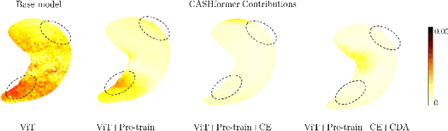 Figure 3 for CASHformer: Cognition Aware SHape Transformer for Longitudinal Analysis